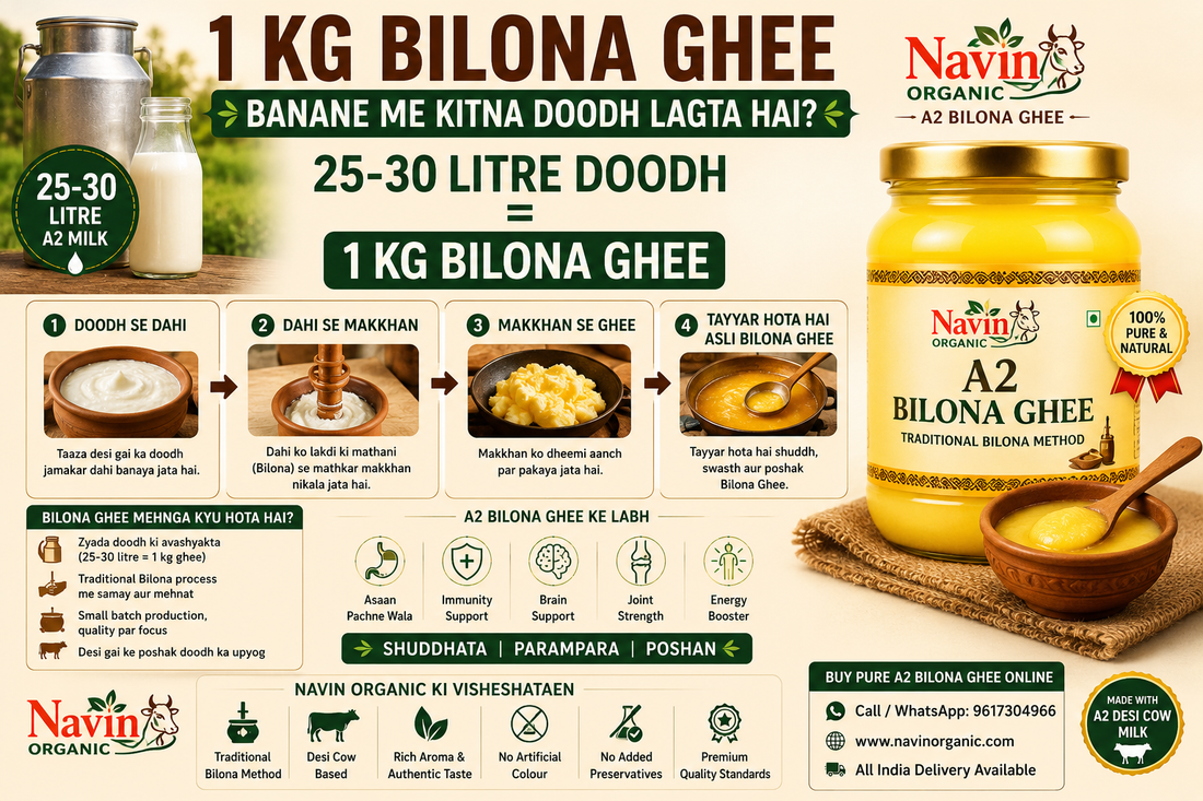 1 Kg Bilona Ghee Banane Me Kitna Doodh Lagta Hai? Asli Sach Jankar Hairan Reh Jayenge