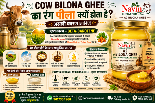 Cow Bilona Ghee Ka Rang Peela Kyu Hota Hai? Asli Karan Janiye