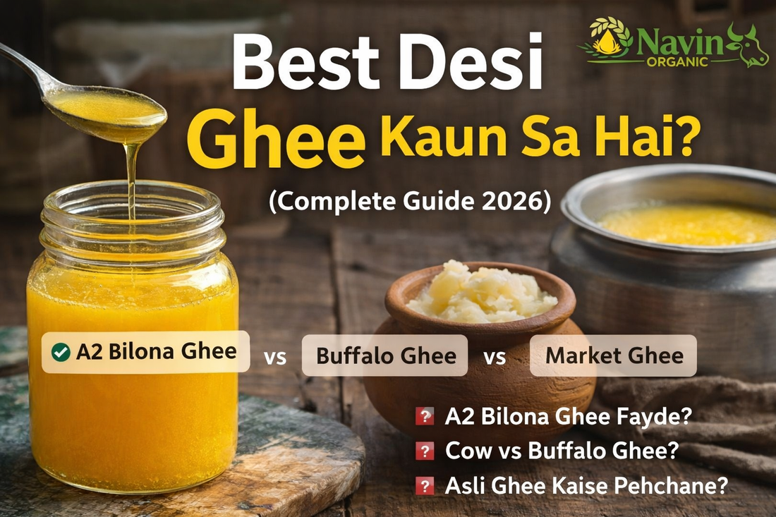 Best desi ghee kaun sa hai – A2 bilona ghee vs buffalo ghee vs market ghee Navin Organic