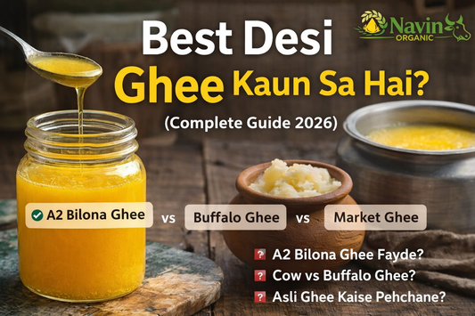 Best desi ghee kaun sa hai – A2 bilona ghee vs buffalo ghee vs market ghee Navin Organic